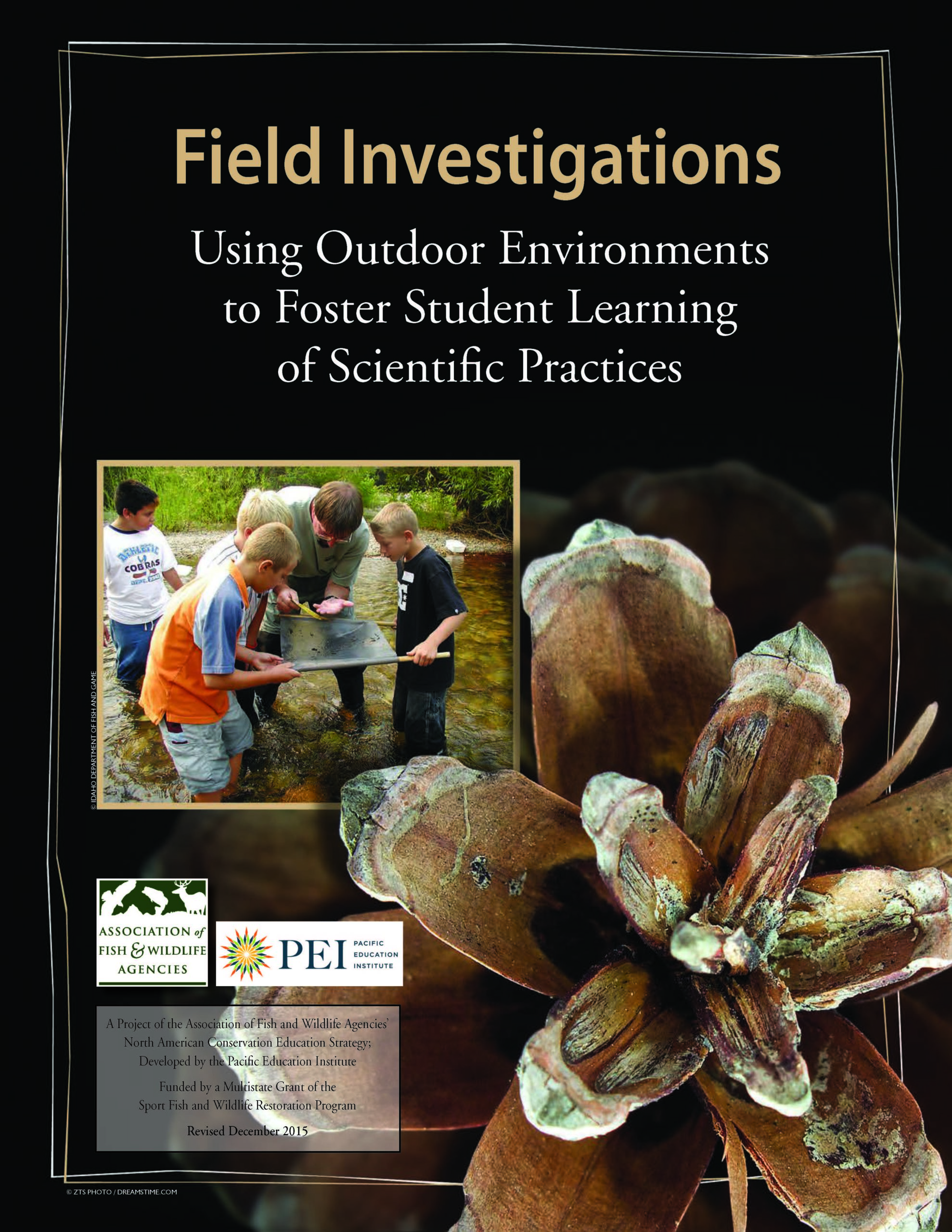 Field Investigations with NGSS