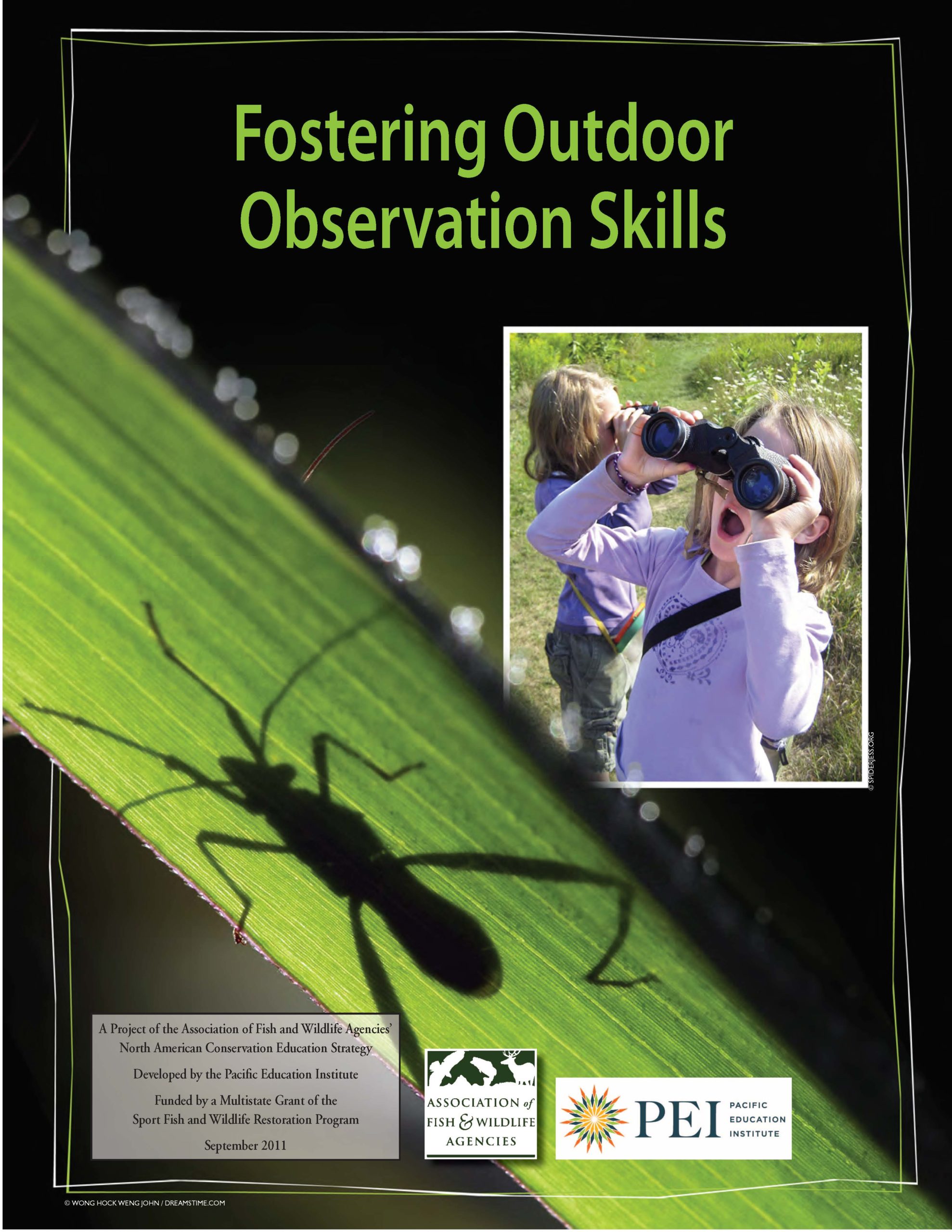 Fostering Outdoor Observation Skills