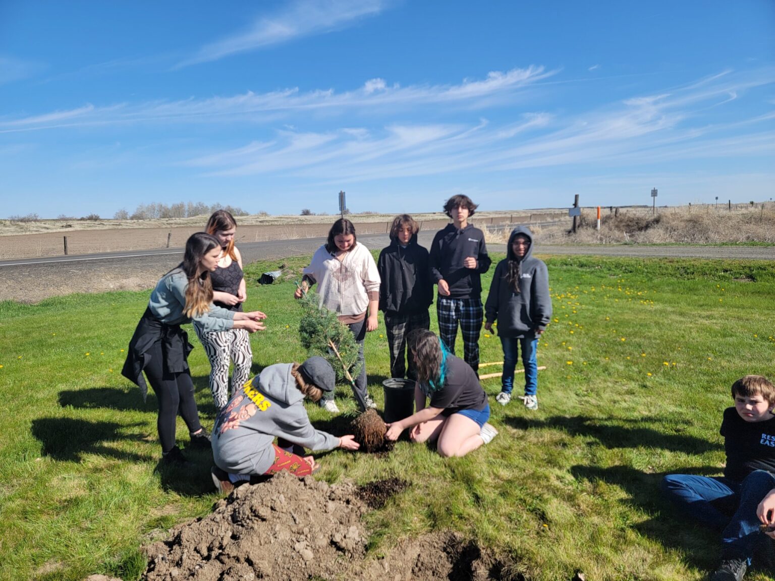 23 07 Lamont Tree Planting
