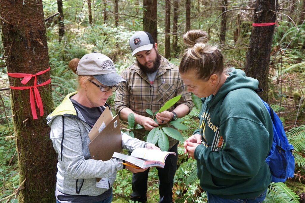 22 0803 Sfi Plt Workshop Working Forest