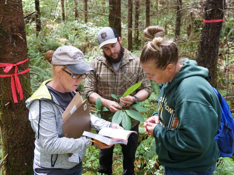 22 0803 Sfi Plt Workshop Working Forest