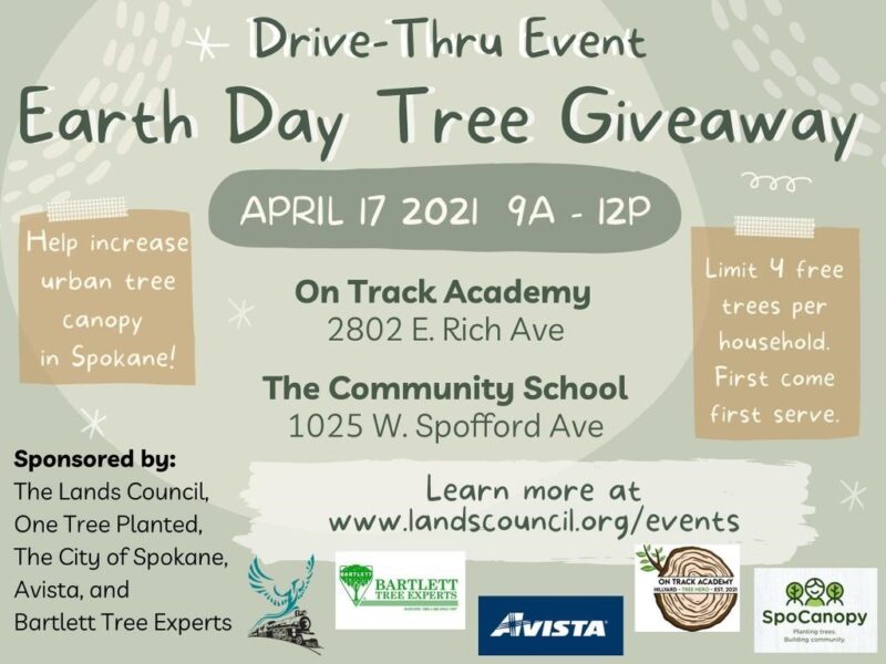 23 11 Tree Giveaway