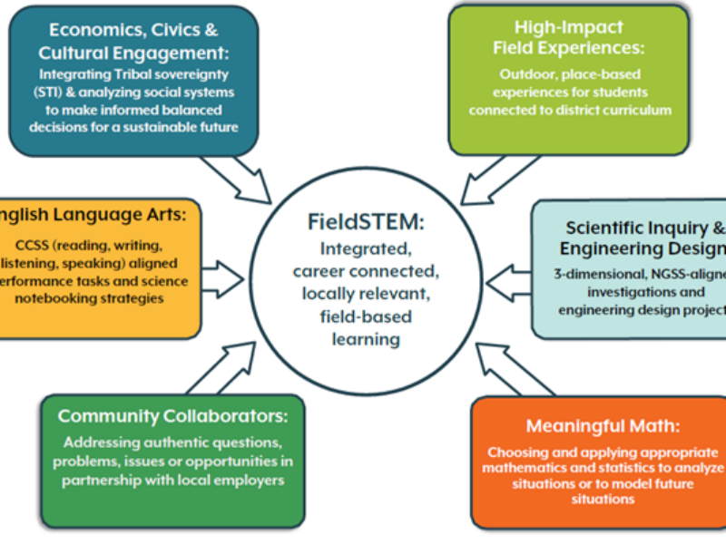 Fieldstem Model