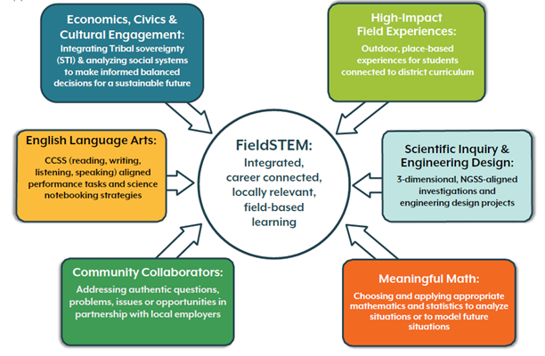 Fieldstem Model